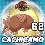 https://lotoven.com/dist/animals_img/Cachicamo_17.webp
